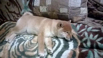 1920 X 1078 766.0 Kb  -)