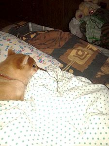 768 X 1024 87.7 Kb 1920 X 1078 766.0 Kb  -)