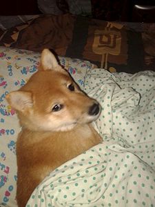 768 X 1024 88.9 Kb 768 X 1024 87.7 Kb 1920 X 1078 766.0 Kb  -)