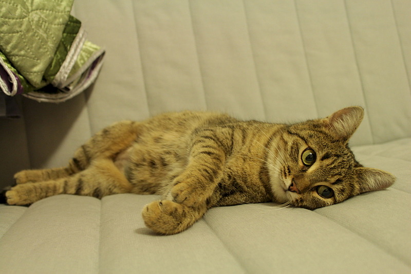 1920 X 1280 384.0 Kb  -     .