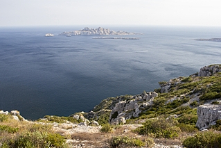 1280 X 853 889.1 Kb   ? (    )