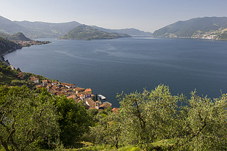 900 X 600 654.3 Kb 1500 X 1000 808.4 Kb 1500 X 1000 711.5 Kb 1500 X 1000 585.4 Kb 1280 X 853 889.1 Kb   ? (    )