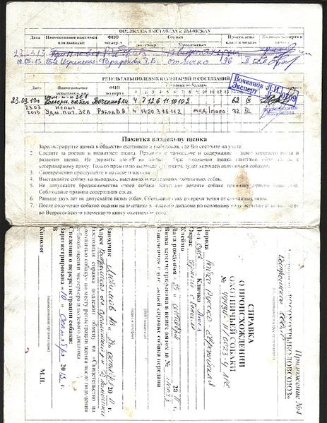 1275 X 1650 346.3 Kb 'КУПЛЯ - ПРОДАЖА ОХОТНИЧЬИХ СОБАК'