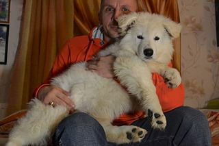 1920 X 1280 442.6 Kb    