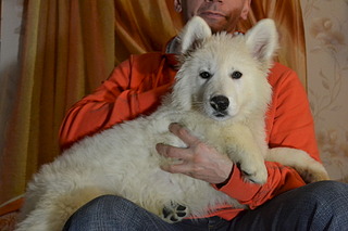 1920 X 1280 454.9 Kb    