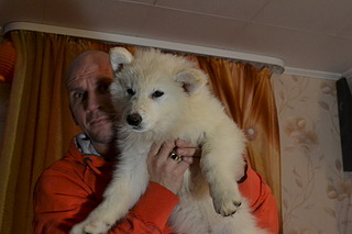 1920 X 1280 410.4 Kb    