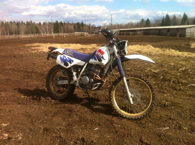 1280 X 956 432.5 Kb 1280 X 956 324.3 Kb   