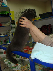 638 X 850 121.8 Kb 850 X 948 169.9 Kb     