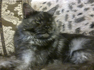 1920 X 1440 477.3 Kb - 