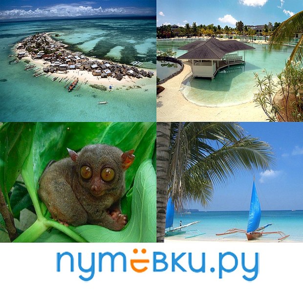 1034 X 1000 240.9 Kb . 5    !