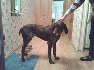 1920 X 1440 501.4 Kb  