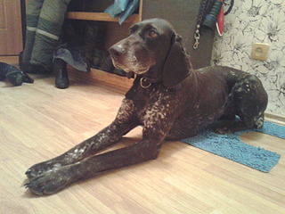 1920 X 1440 530.6 Kb 1920 X 1440 501.4 Kb  