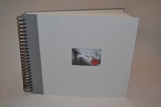 448 X 299 67.2 Kb 1032 X 352 62.0 Kb  !  ?