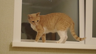 1920 X 1076 261.1 Kb      