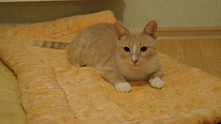 1920 X 1076 280.8 Kb 1920 X 1076 261.1 Kb      