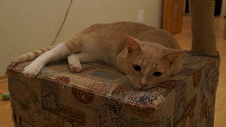 1920 X 1076 390.4 Kb 1920 X 1076 280.8 Kb 1920 X 1076 261.1 Kb      