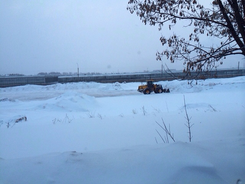 1280 X 959 250.2 Kb   ,  ?