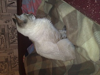 1920 X 1440 649.2 Kb      