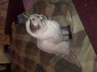 1920 X 1440 621.2 Kb 1920 X 1440 649.2 Kb      