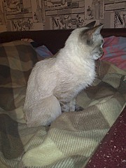 1440 X 1920 655.2 Kb      ,   -       