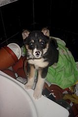 1360 X 2048 136.8 Kb      