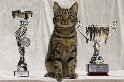 500 X 334 154.9 Kb  -     .