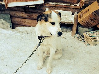 852 X 640 142.0 Kb 852 X 640 130.8 Kb 852 X 640 121.1 Kb   