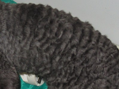 1778 X 1333 429.1 Kb   .