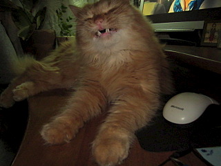 640 X 480 82.7 Kb 1920 X 1079 428.8 Kb  