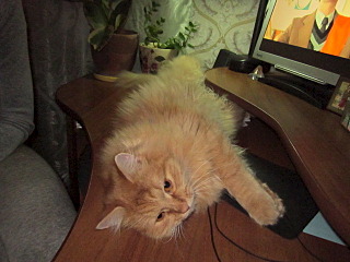 640 X 480 98.9 Kb 640 X 480 82.7 Kb 1920 X 1079 428.8 Kb  