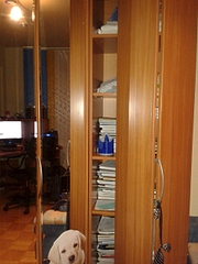 1920 X 2560 247.3 Kb   )