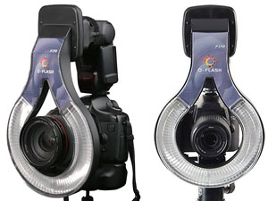 300 x 225 500 X 333 20.3 Kb  Canon 5D +  