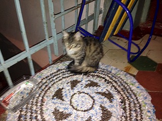 1920 X 1440 671.4 Kb 1920 X 1440 440.3 Kb     