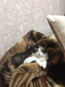 130 x 173 130 x 173 ()    (6)   !