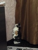 130 x 173 130 x 173 130 x 173 ()    (6)   !