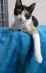 516 X 807  79.8 Kb 130 x 173 130 x 173 130 x 173 ()    (6)   !