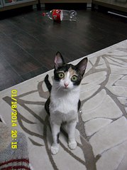 605 X 807  75.1 Kb 516 X 807  79.8 Kb 130 x 173 130 x 173 130 x 173 ()    (6)   !