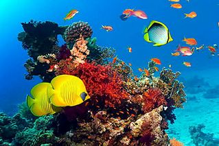 800 X 534  90.8 Kb 655-303 |   | www.akvarel18.ru |   !