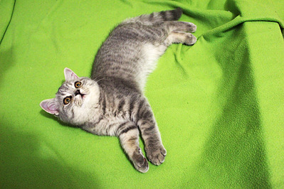 1920 X 1280 821.5 Kb      