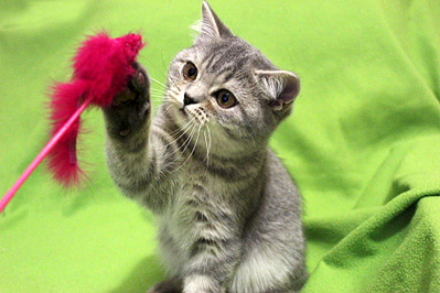 1920 X 1280 844.3 Kb 1920 X 2880 513.7 Kb 1920 X 1280 821.5 Kb      