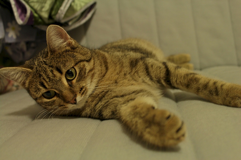 1920 X 1280 683.5 Kb  -     .