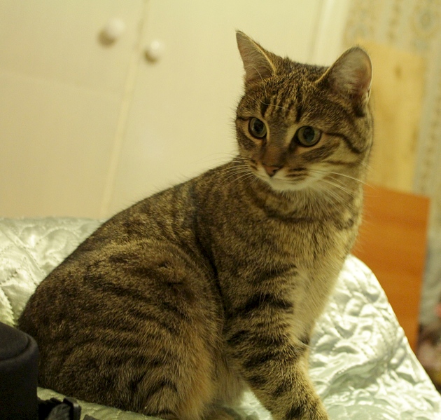 1920 X 1826 188.2 Kb  -     .