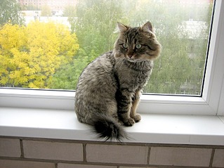 807 X 605 136.2 Kb    !