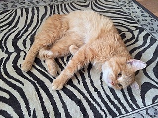 807 X 605 193.9 Kb 605 X 807 125.7 Kb    !