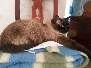 1920 X 1440 170.9 Kb        ' ' 