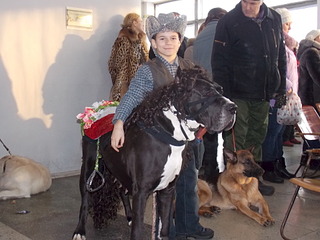 1920 X 1440 511.5 Kb 1920 X 1440 713.3 Kb 19 января 2014г. ежегодное дог-шоу 'Парад Чемпионов'