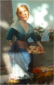 382 X 600 88.2 Kb Дневники Ники.Британские кошки из питомника 'GEM SWEET'