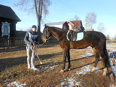 807 X 605 162.5 Kb 712 X 731 196.5 Kb  