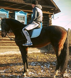 629 X 692 142.4 Kb 807 X 605 162.5 Kb 712 X 731 196.5 Kb  