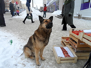 1920 X 1440 733.2 Kb �������� ������ ���� ������ �������